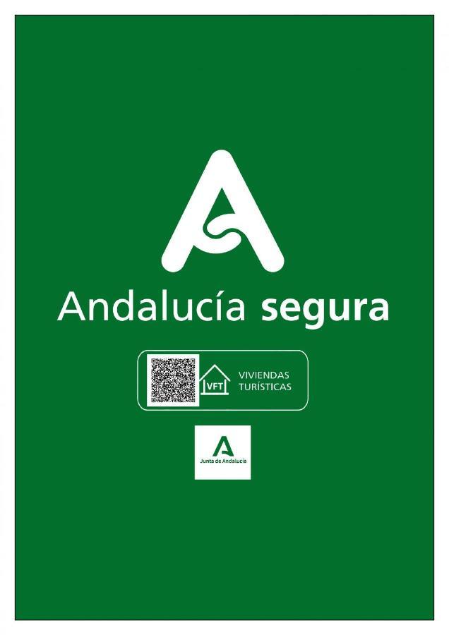 Apartamentos Loto Y Liz By Cadiz4Rentals Eksteriør billede